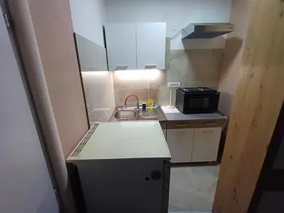 a small kitchen with a sink and a microwave at Apartments DAJER in Arandjelovac