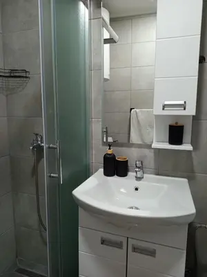 a bathroom with a white sink and a shower at ParkSide Apartman in Arandjelovac