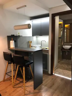 a kitchen with a table and chairs in a room at Apartment Nevena 3 in Belgrade