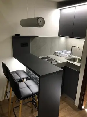 a kitchen with a counter and a sink and a stove at Apartment Nevena 3 in Belgrade