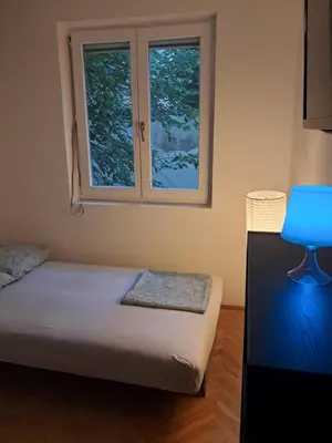 a bedroom with a bed and two windows at Quiet garden in Belgrade