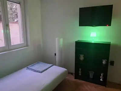 a bedroom with a bed and a tv on the wall at Quiet garden in Belgrade