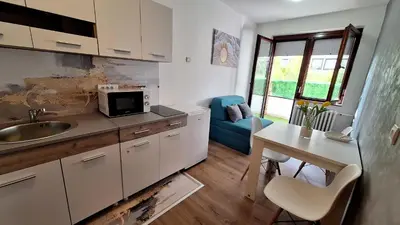 a kitchen with a sink and a table in a room at Valia apartments 2 in Belgrade