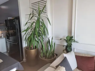 a living room with two potted plants and a couch at Exclusive apartman BW Terraces in Belgrade