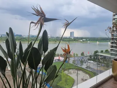 a plant in a window with a view of a river at Exclusive apartman BW Terraces in Belgrade