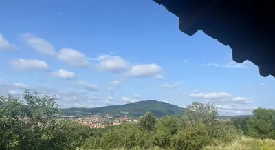 a view of a city from a hill with trees at Apartman FM in Arandjelovac