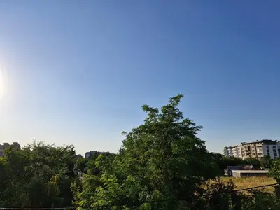 a tree with a blue sky in the background at Banjica 202 in Voždovac