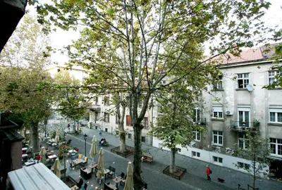 a city street with a tree and tables and buildings at Studio Intriga in Belgrade