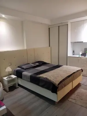 a bedroom with a large bed in a room at Senjak studio apartment, near Belgrade fair in Belgrade