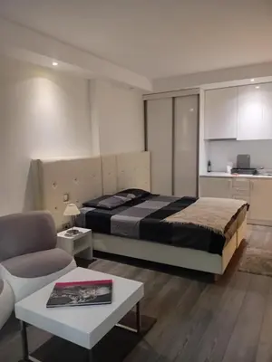 a bedroom with a bed and a couch and a table at Senjak studio apartment, near Belgrade fair in Belgrade