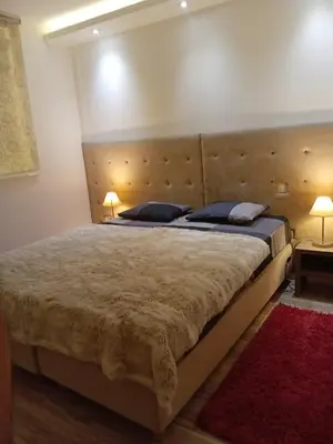 a bedroom with a large bed and a red rug at Senjak residence, apartment near Belgrade waterfront in Belgrade