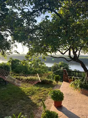 a hammock under a tree with a view of the water at Panorama Beska in Beška