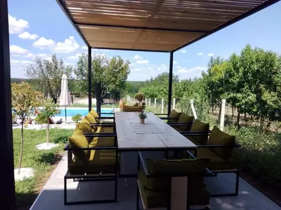 a long table with chairs and a pool in the background at Vila Aleksandar in Krčedin