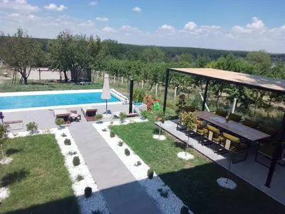 an overhead view of a backyard with a swimming pool at Vila Aleksandar in Krčedin