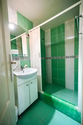 a green bathroom with a sink and a shower at Apartment Vojinovic in Arandjelovac