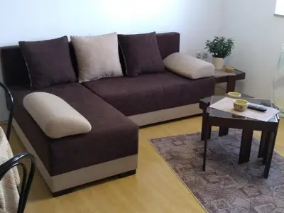 a brown couch in a living room with a table at Apartment Vojinovic in Arandjelovac
