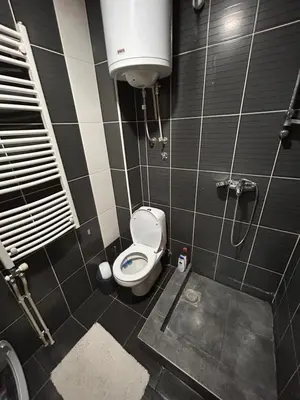 a small bathroom with a toilet and a shower at Centar stan na dan Ub in Ub