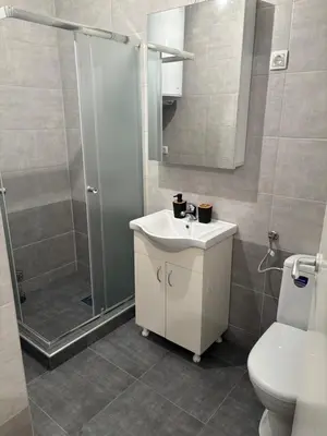 a bathroom with a shower and a sink and a toilet at Zemun ES stan na dan in Belgrade