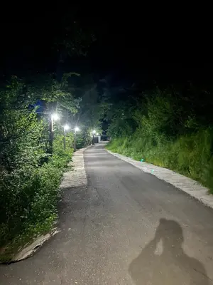 a shadow of a person on a road at night at Elowen in Novo Selo