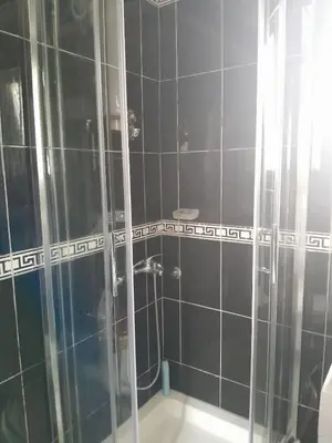 a black tiled bathroom with a shower and a sink at Batajnica centar in Belgrade