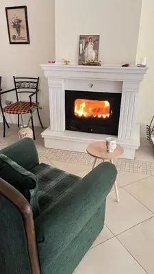 a living room with a fireplace and a green couch at Vila Monika in Belgrade