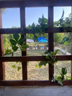 a window with a view of a park seen through it at Kuća sa Pogledom in Sremski Karlovci