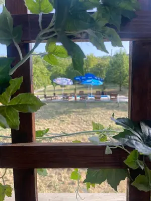 a close up of a window with a view of a park at Kuća sa Pogledom in Sremski Karlovci