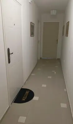 a hallway with a door and a rug on the floor at Ogi apartment Beograd in Belgrade