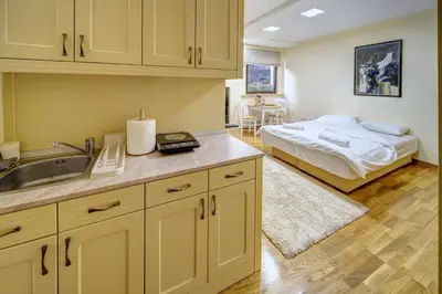 a kitchen with a sink and a bed in a room at Oasis Moonze in Zemun