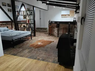 a living room with a bed and a fireplace at Airport Apartment AIR 2 in Surčin