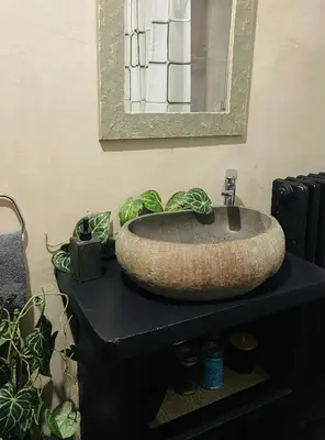 a bathroom sink on a black counter with plants at Okapi stays in Belgrade