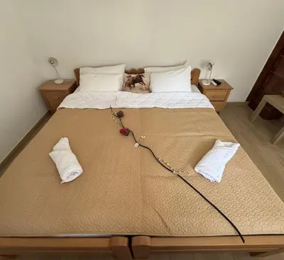 a bed with a dog laying on top of it at Forest House in Beljina