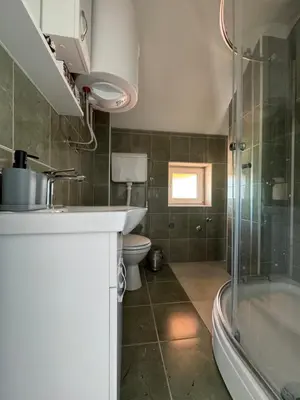 a bathroom with a shower and a sink and a toilet at Forest House in Beljina