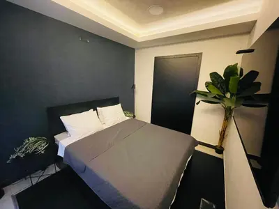 a bedroom with a bed and a potted plant at Knez in Belgrade