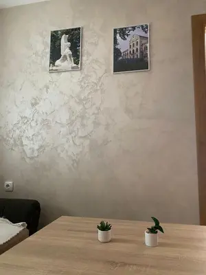 a table with two potted plants on top of it at Apartman Masa in Arandjelovac