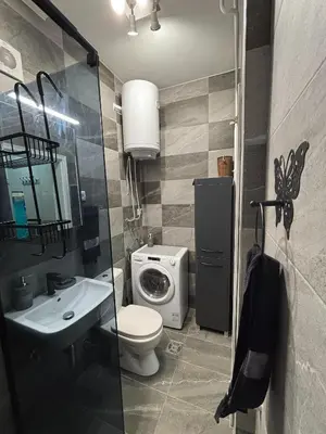 a bathroom with a toilet a sink and a washing machine at Urban Yard Retreat in Belgrade