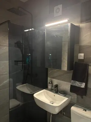 a bathroom with a sink and a toilet and a mirror at Urban Yard Retreat in Belgrade