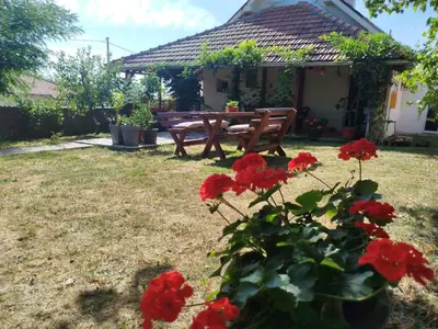 a picnic table and red flowers in a yard at Bukuljska kuća in Arandjelovac