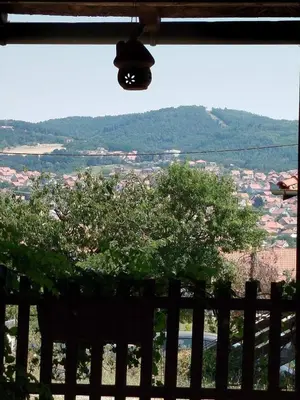 a view of a city from a balcony with a tree at Bukuljska kuća in Arandjelovac