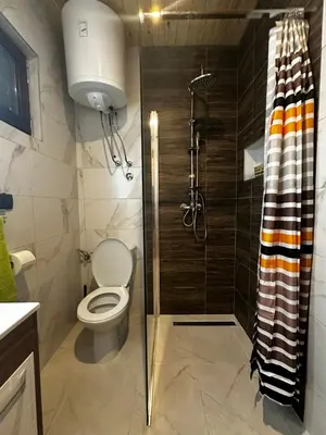 a bathroom with a toilet and a shower at Taca House - Airport apartman in Surčin