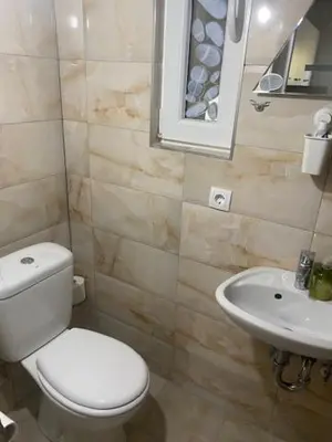 a bathroom with a toilet and a sink at Imanje Mihailovic in Pružatovac