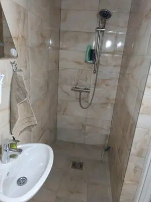 a bathroom with a shower and a sink at Imanje Mihailovic in Pružatovac