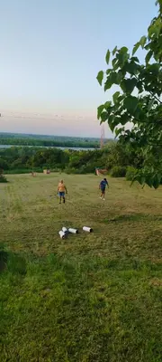 two people are playing with kites in a field at Eko dan in Železnička Stanica Karlovački Vinogradi