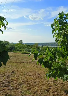 a field of grass with trees in the foreground at Eko dan in Železnička Stanica Karlovački Vinogradi