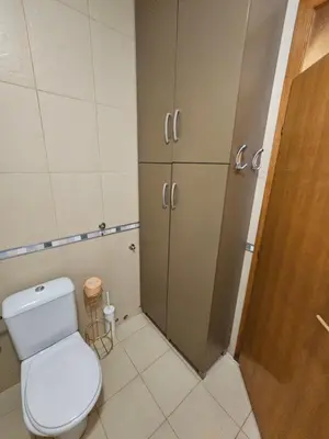 a bathroom with a toilet and some cabinets at Zora apartment in Belgrade