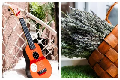 a guitar is sitting next to a plant at Heart Strings with Terrace 290 Mbps Old Town in Belgrade