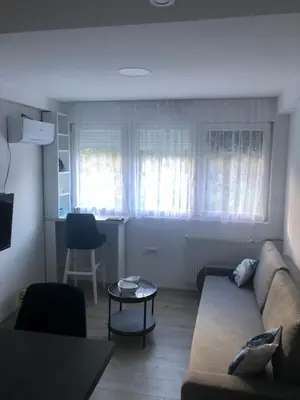 a living room with a couch and a table at Beograd stan na dan in Novi Beograd