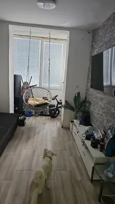 a dog is standing in a living room at Lava's Lux in Belegiš