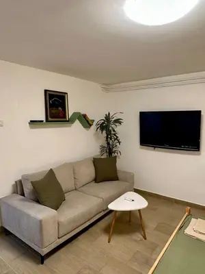 a living room with a couch and a flat screen tv at M Place in Mirijevo
