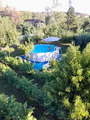 a swimming pool in the middle of a garden at Kod kapetana in Smederevo